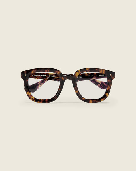 Playfight.Tort.Clear.